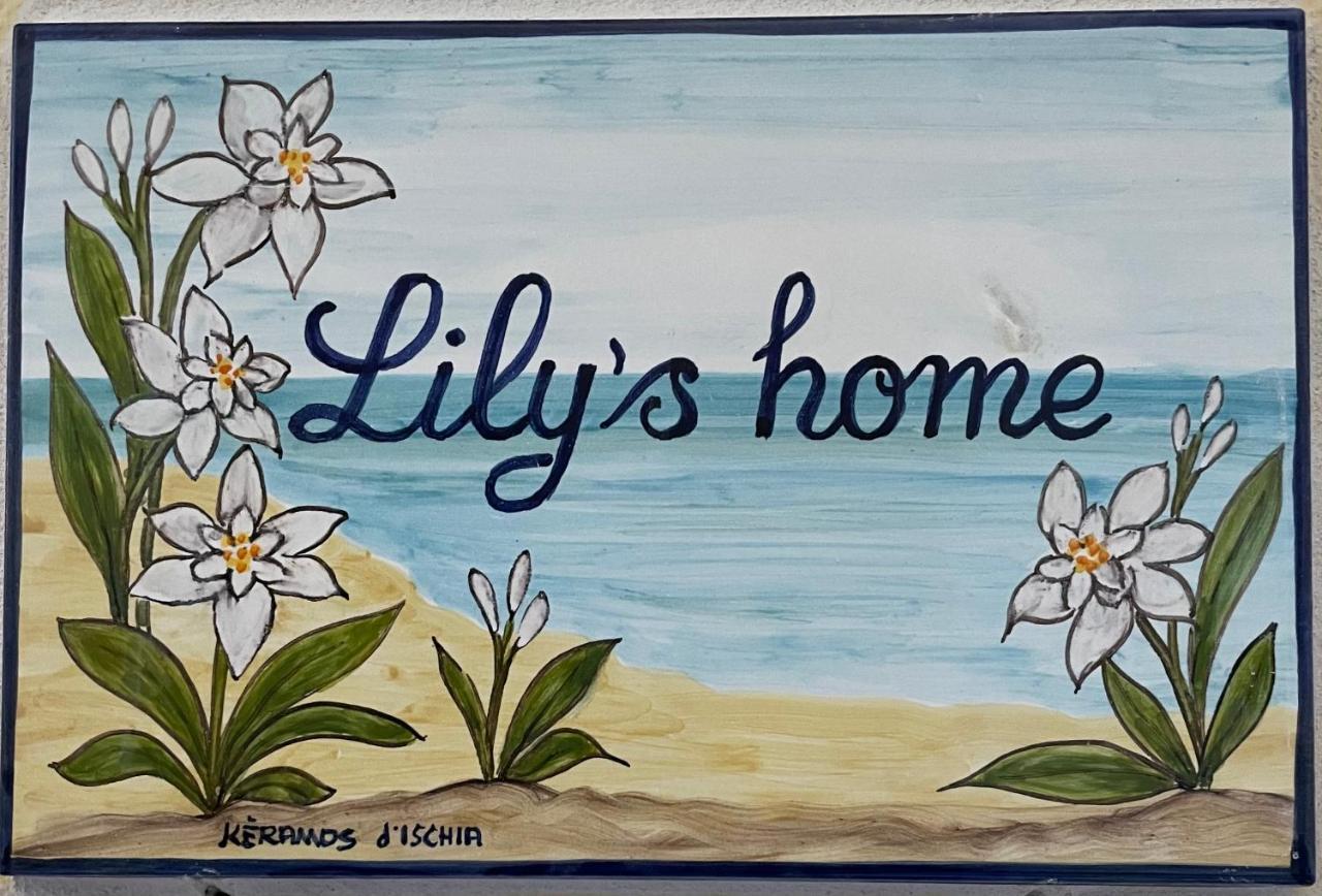 Lily'S Home Lacco Ameno  Zewnętrze zdjęcie